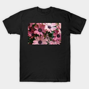 Nature's Beauty T-Shirt